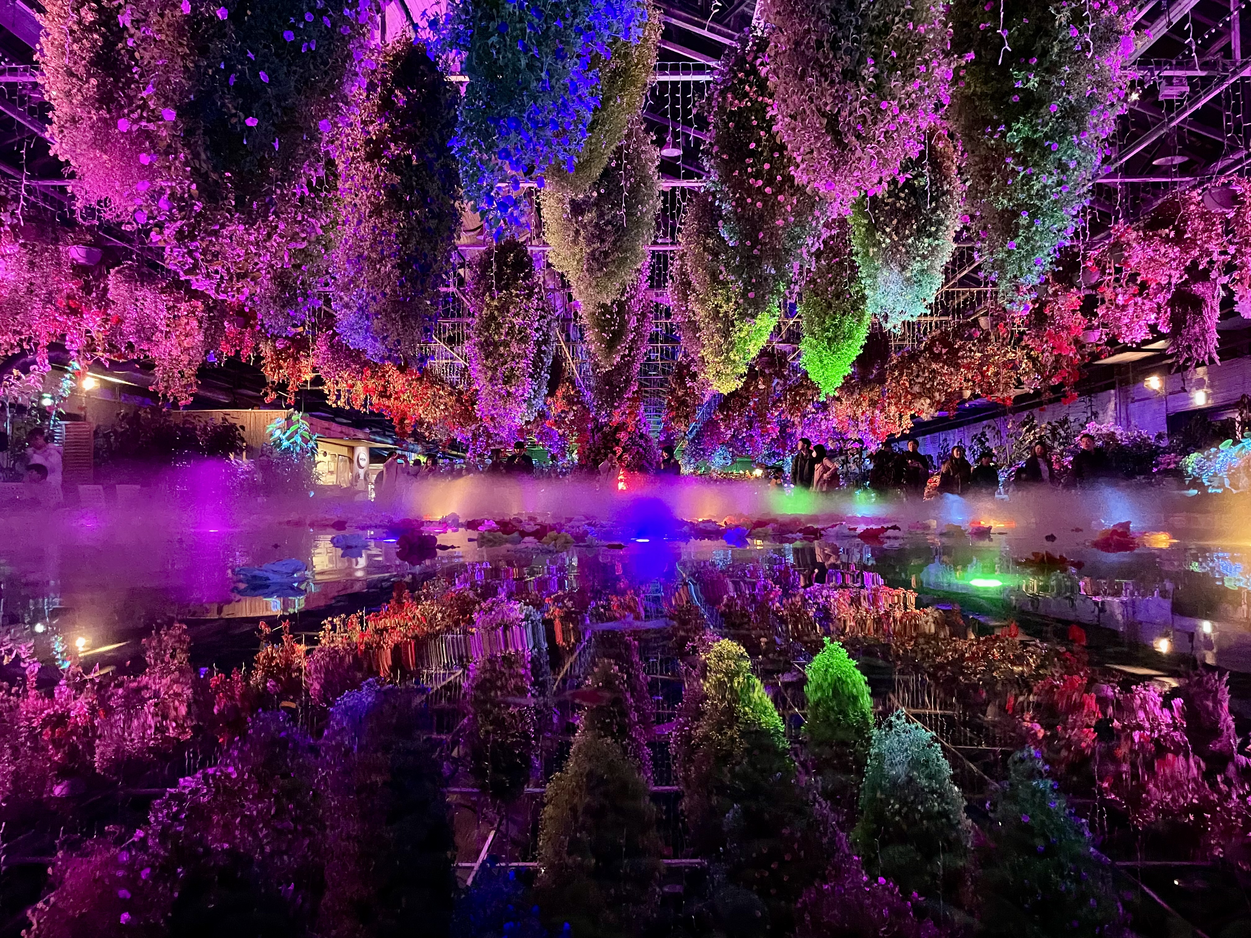 なばなの里イルミネーション