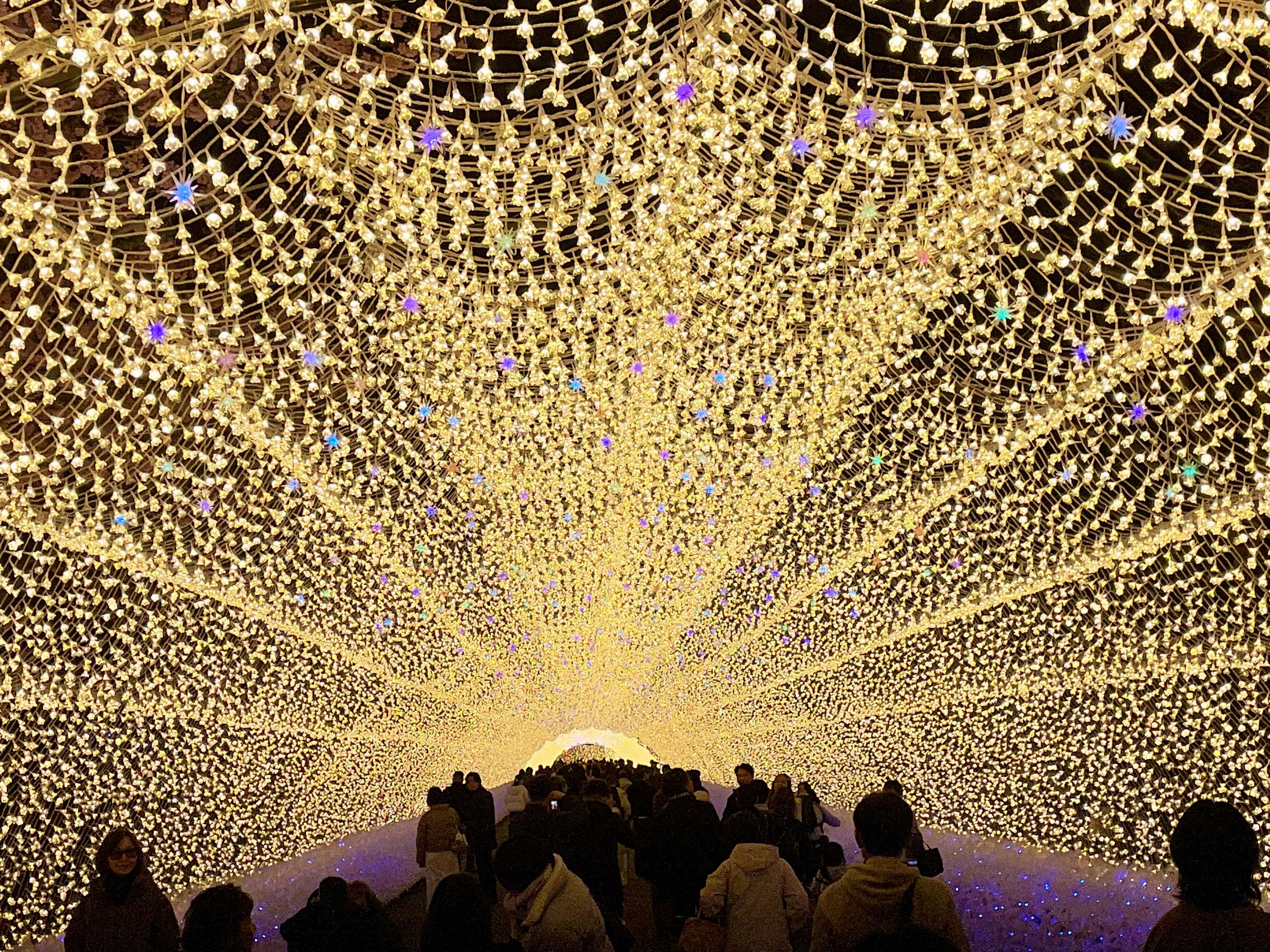 なばなの里イルミネーション