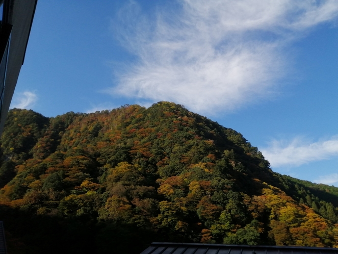 館内からの見える景色