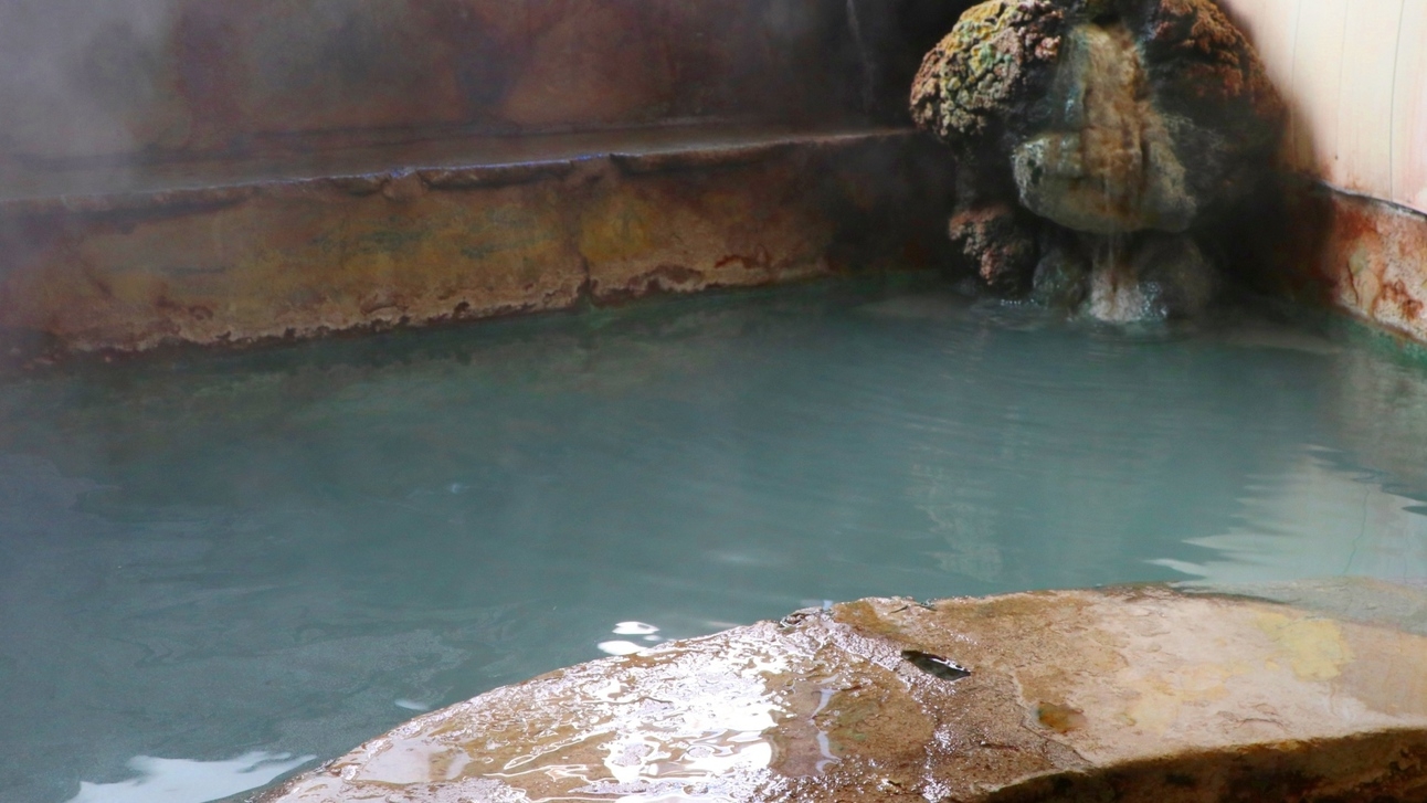 食事は自由に草津温泉を満喫！にごり湯と観光を楽しむ！【素泊まり】