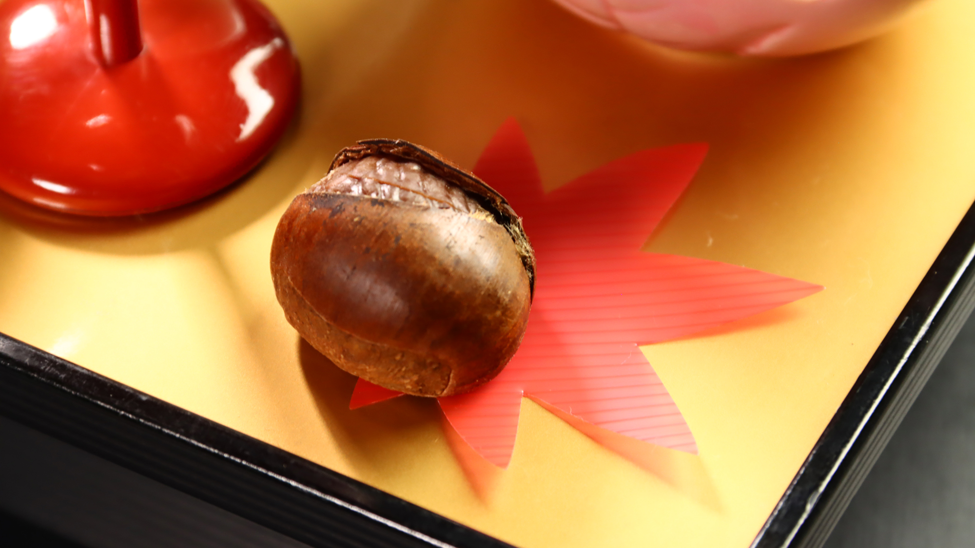 【料理】 夕食 前菜