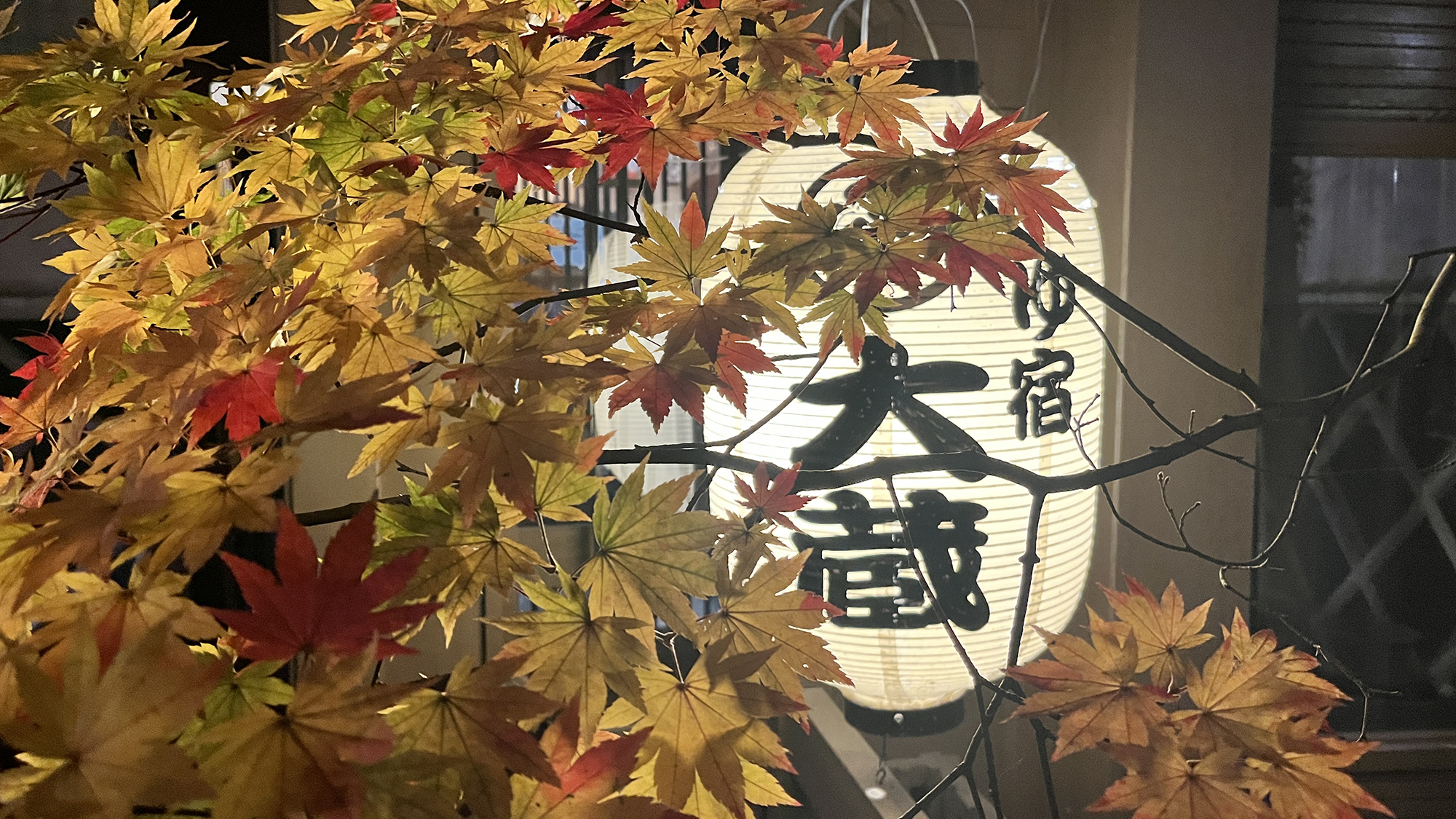 【外観】 秋の大蔵