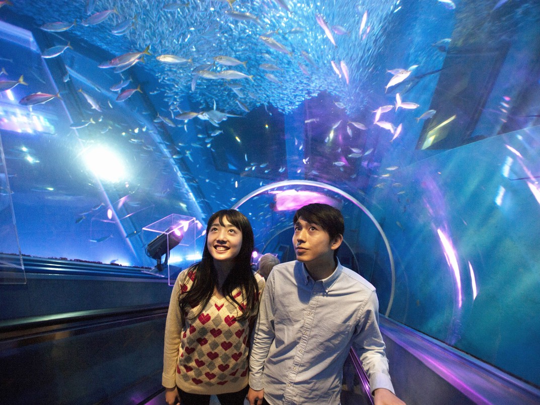 【アクアリゾーツパス付プラン】横浜・八景島シーパラダイス/朝食付