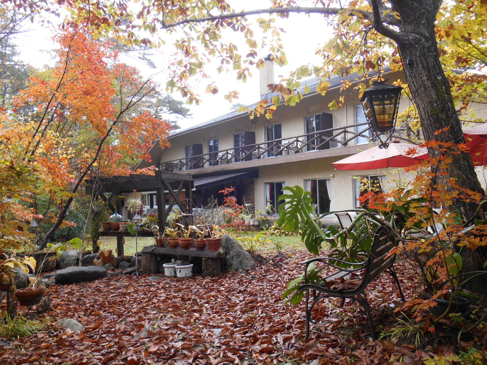 秋の様子　落ち葉