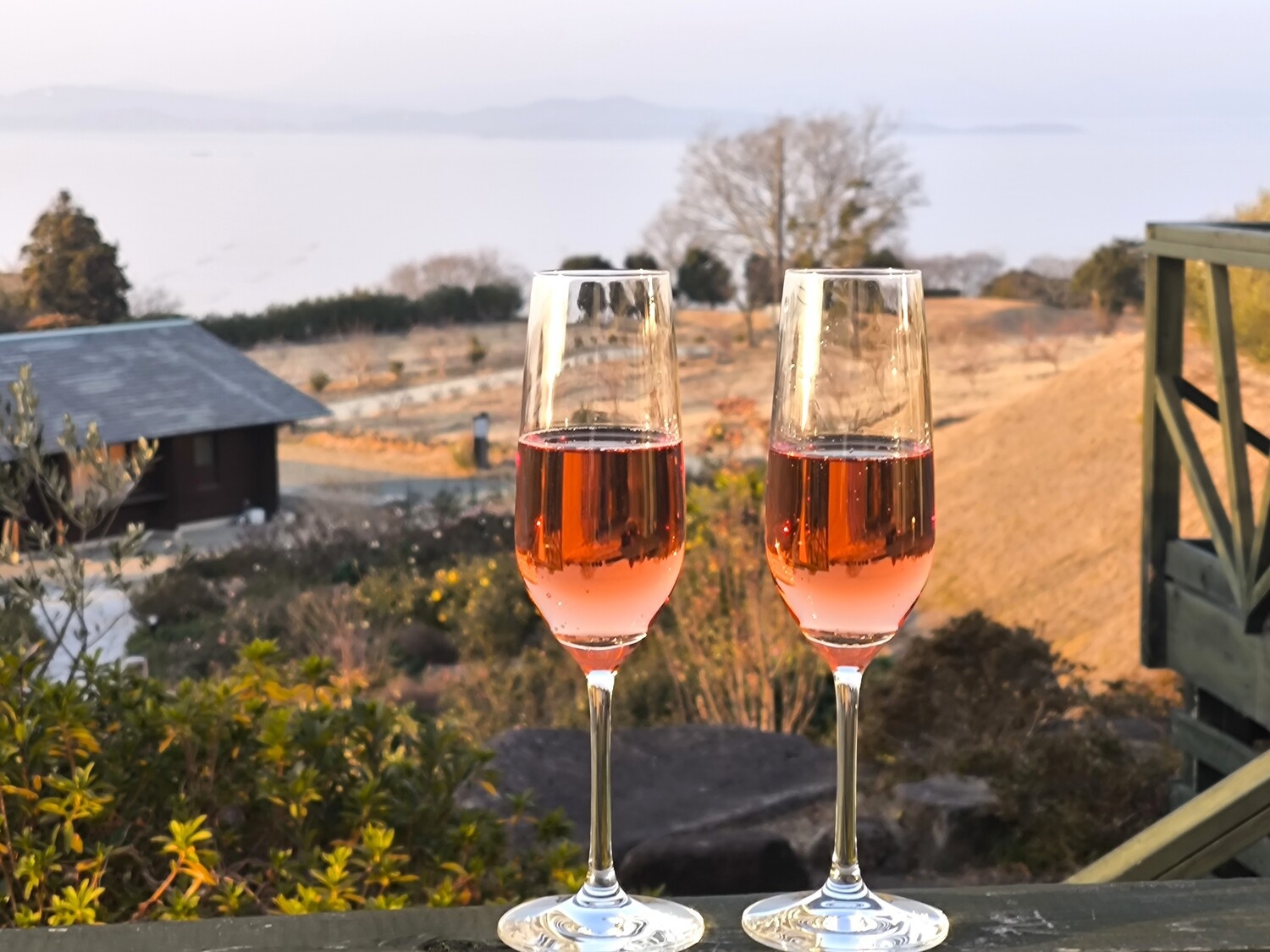 ●【４月限定】春の訪れ〜ロゼスパークリングワインと”いちごフェア”