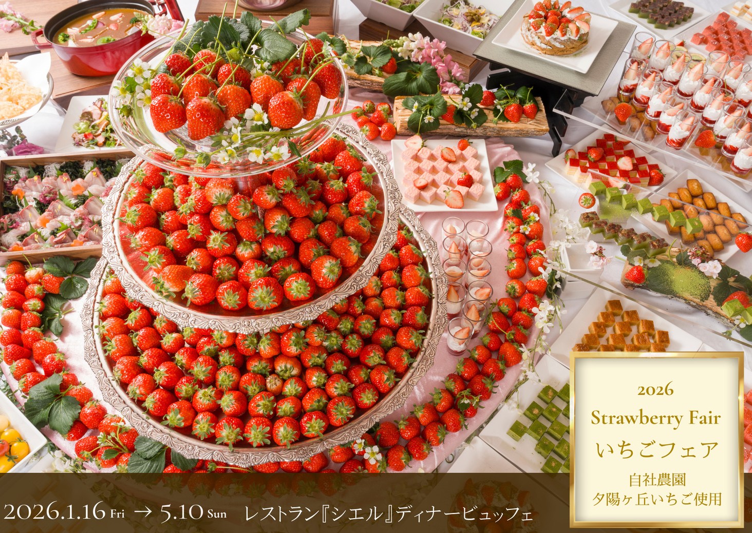 2026年5月10日まで開催