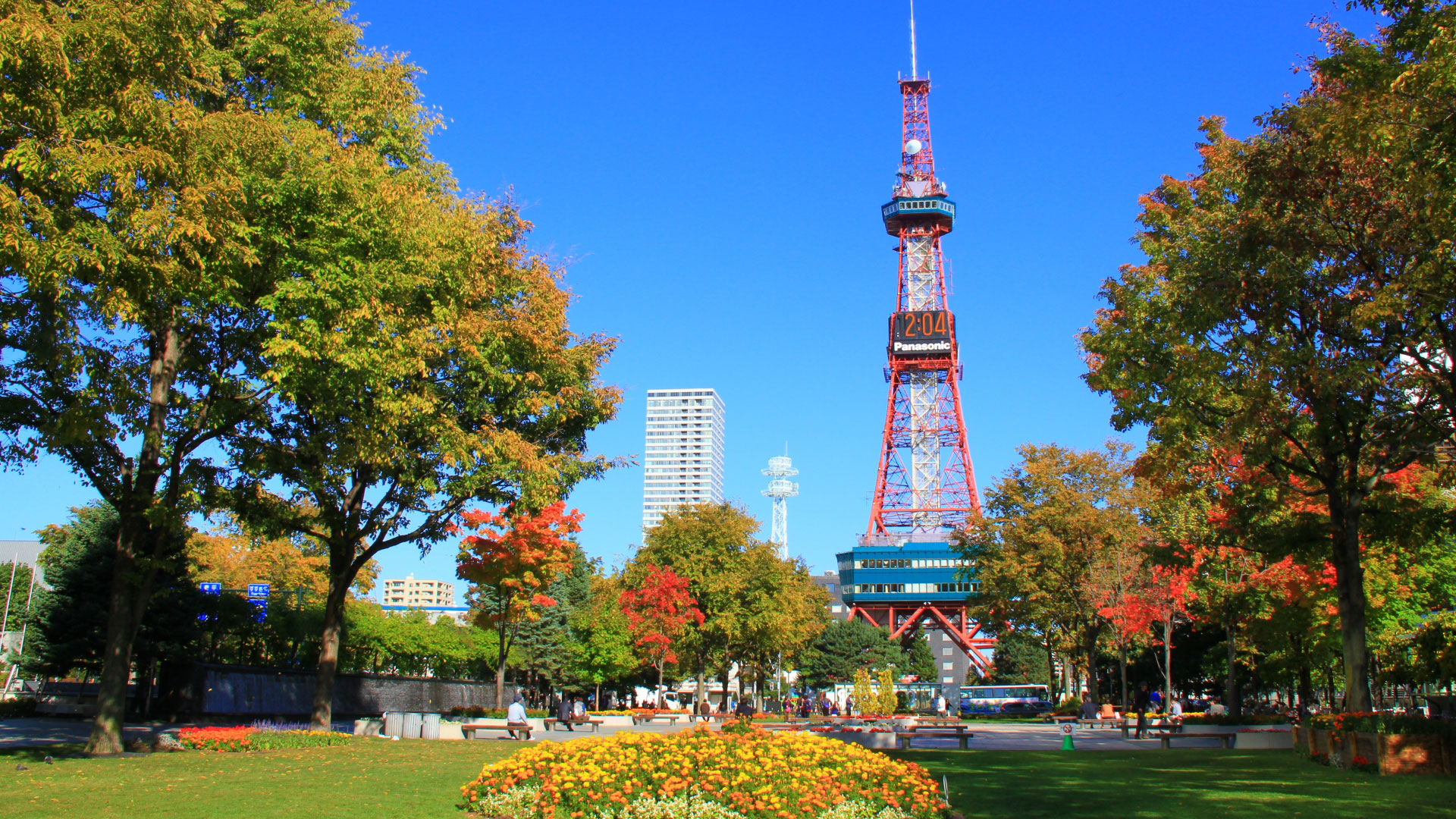 さっぽろテレビ塔（徒歩15分）