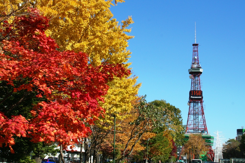 【2025さっぽろオータムフェスト】おひとり様3000円分クーポン引換券付プラン/素泊り