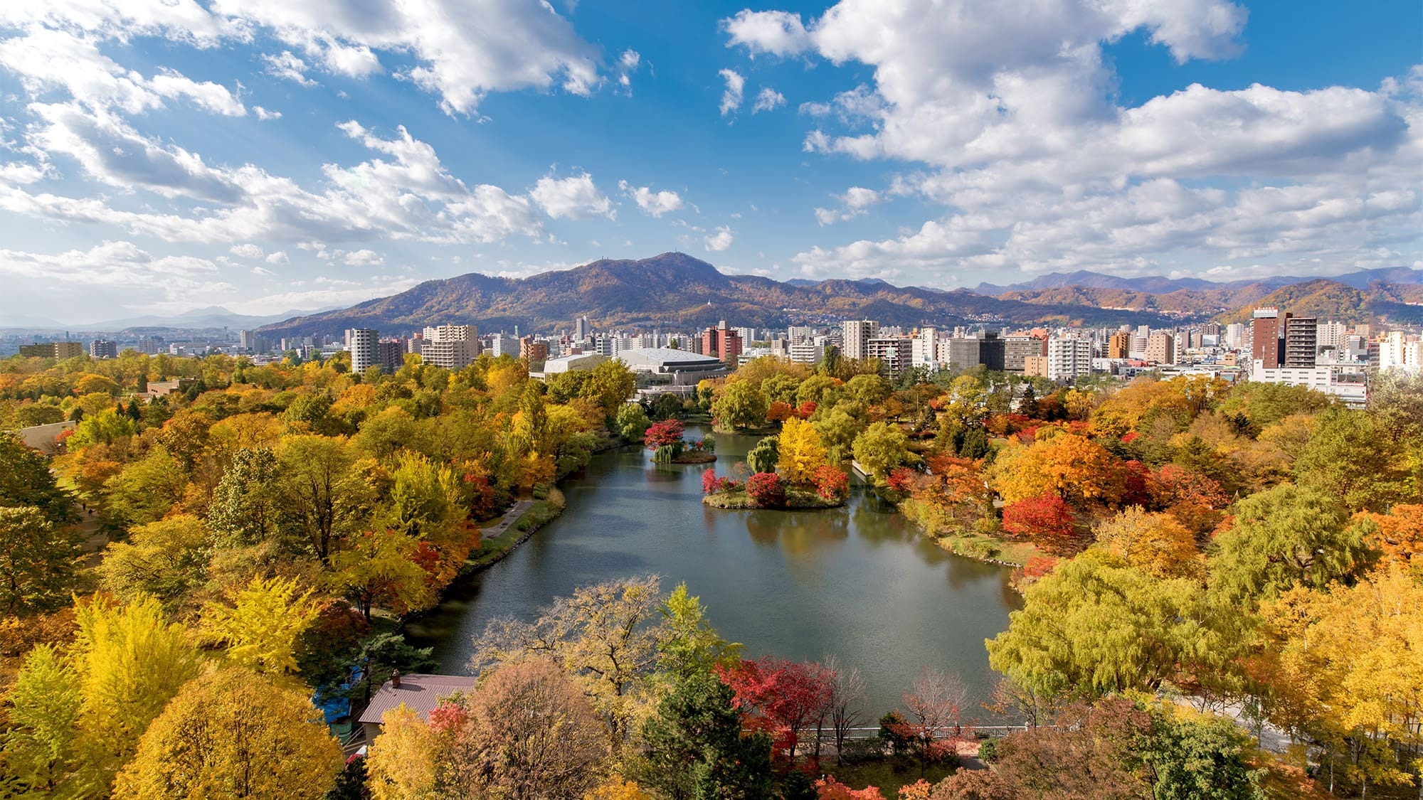 【深緑から紅葉へ】季節の移ろいを愉しむ、中島公園側のお部屋お約束プラン／素泊り