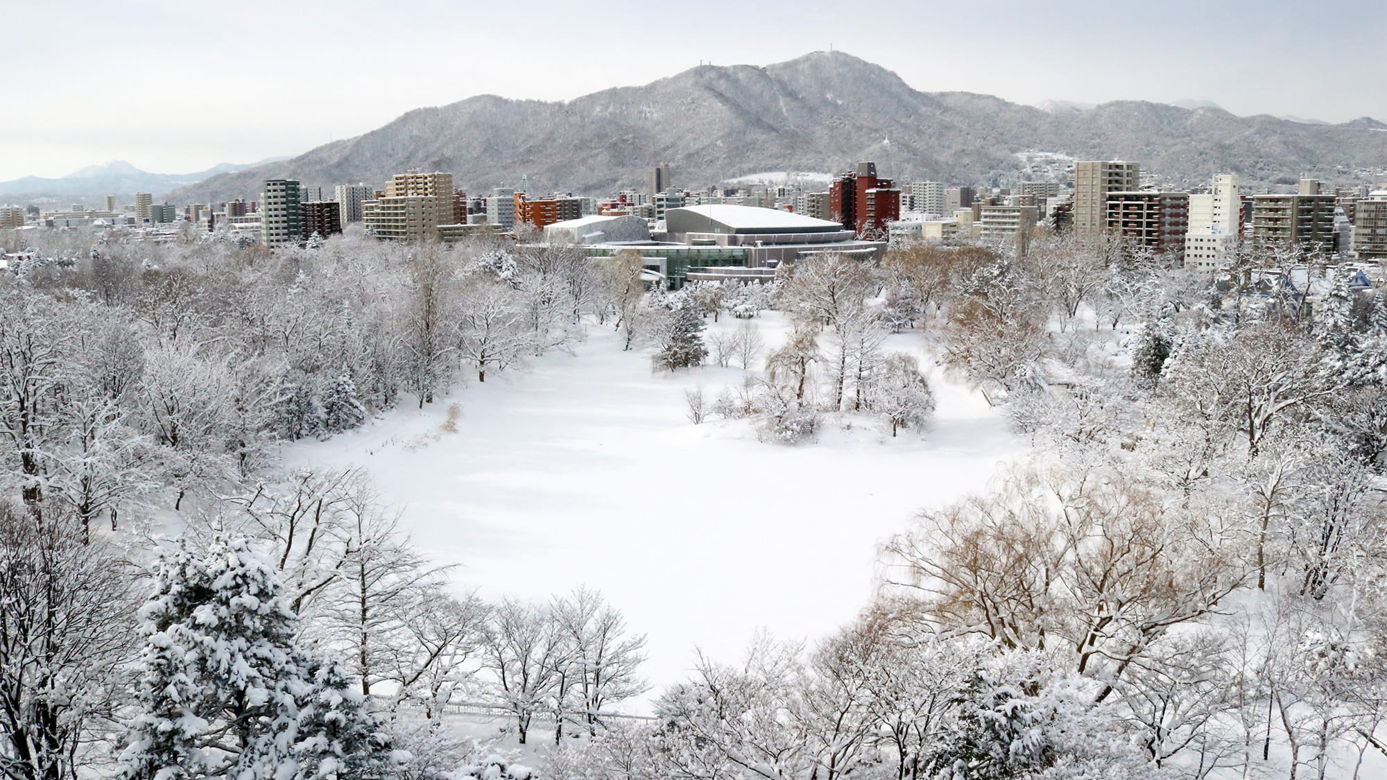 冬は、一面真っ白な輝く雪景色が広がるパークビュー