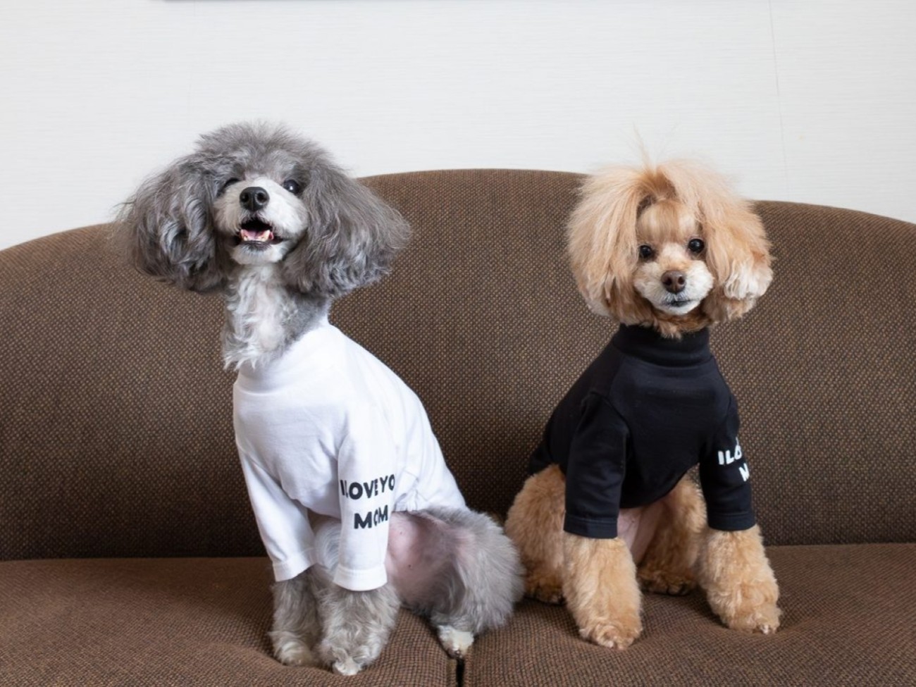 ドッグフレンドリールーム