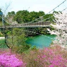 【お勧めの旅】コバルトブルーの角島大橋まで１時間！秋吉台サファリランドまで45分！