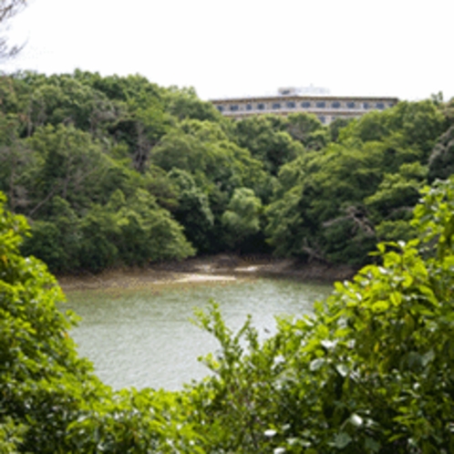 【江汐公園】公園から望むホテル風景