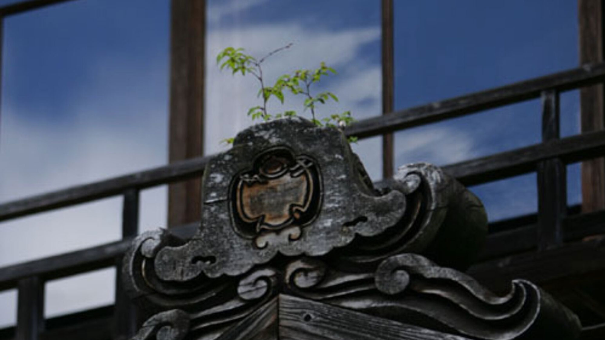 【本館/鬼がわら】せきぜんの紋が彫られています