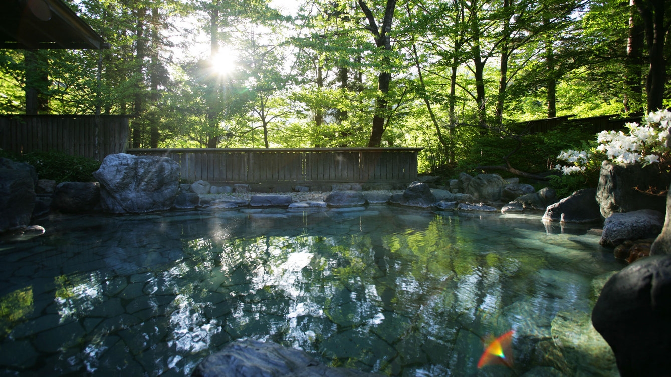 【往年の浪漫がここに／山荘 露天風呂付客室】美肌の湯と自然に癒されるリトリート滞在 [スタンダード]