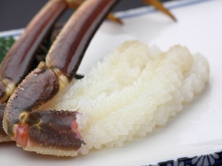 活ガニ　かに刺