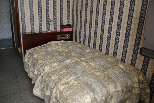 1 guest room bed