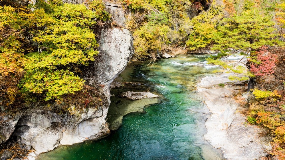 【素泊まり】レイトチェックイン21時までOK！気軽に尾瀬散策♪