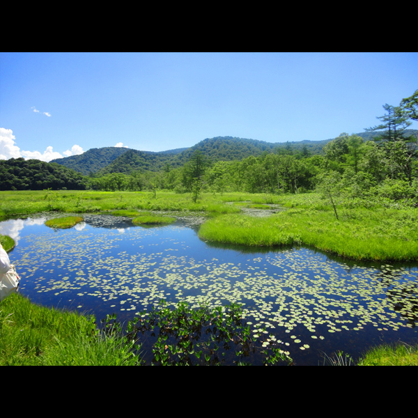 ロッヂ 白い鳥 宿泊予約 楽天トラベル