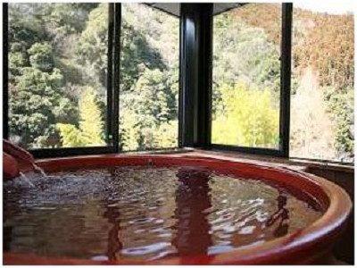 A separate guest room with a single hot spring, an example of a guest room hot spring