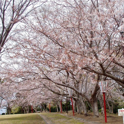 西浦温泉　ホテル龍城（たつき） - 写真 115