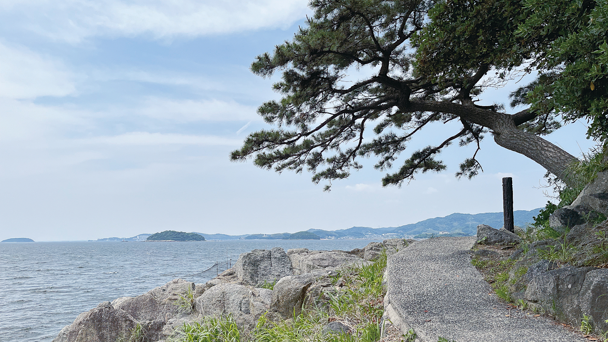  橋田鼻遊歩道からの風景