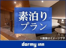 【15時イン-12時アウト】21時間ステイプラン≪素泊り≫