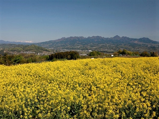 ♦鼻高展望花の丘【写真提供：花の丘】