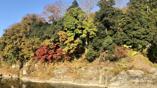 【紅葉】秋の秩父を満喫！おすすめ紅葉スポットを見に行こう♪【1泊2食付】