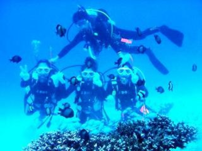 サンゴ礁・熱帯魚満喫体験ダイビングの手配致します8,000円/半日〜。