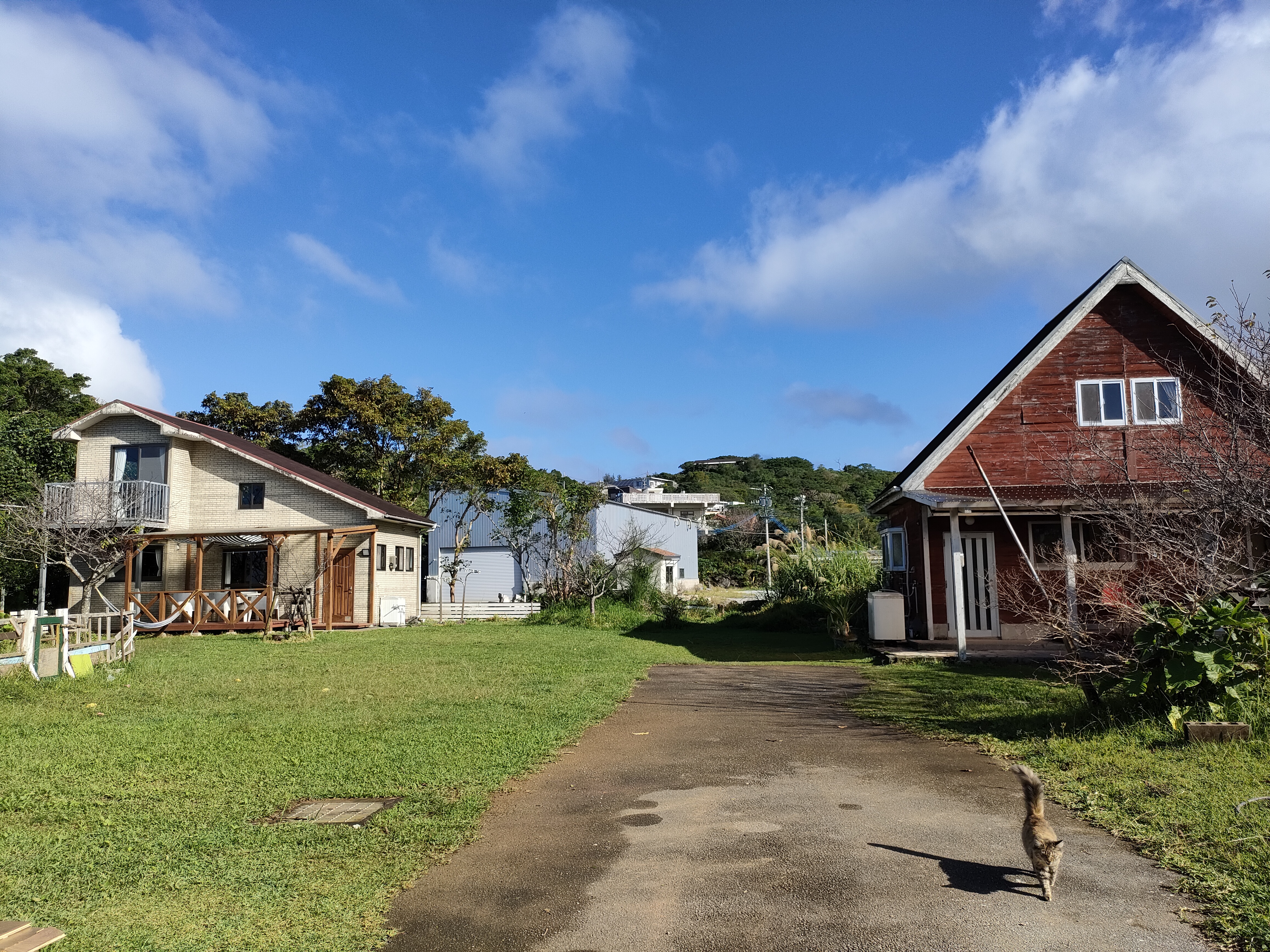 庭と広場