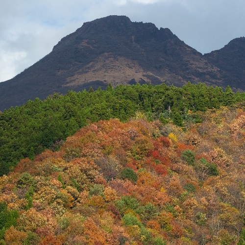 旅館から観える秋の由布岳