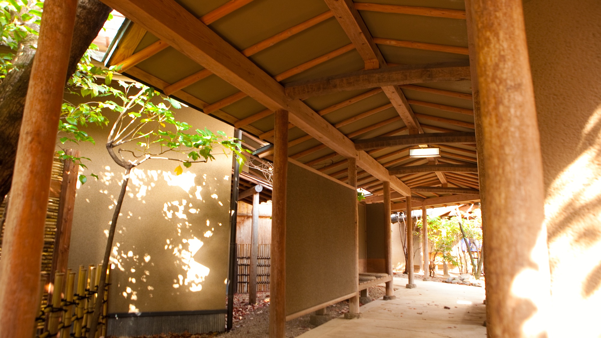 本館田乃倉からなな川へ　　渡り廊下を歩けば、風と緑の気配に包まれる