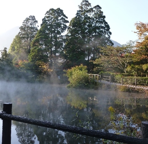 金鱗湖まで徒歩2分　