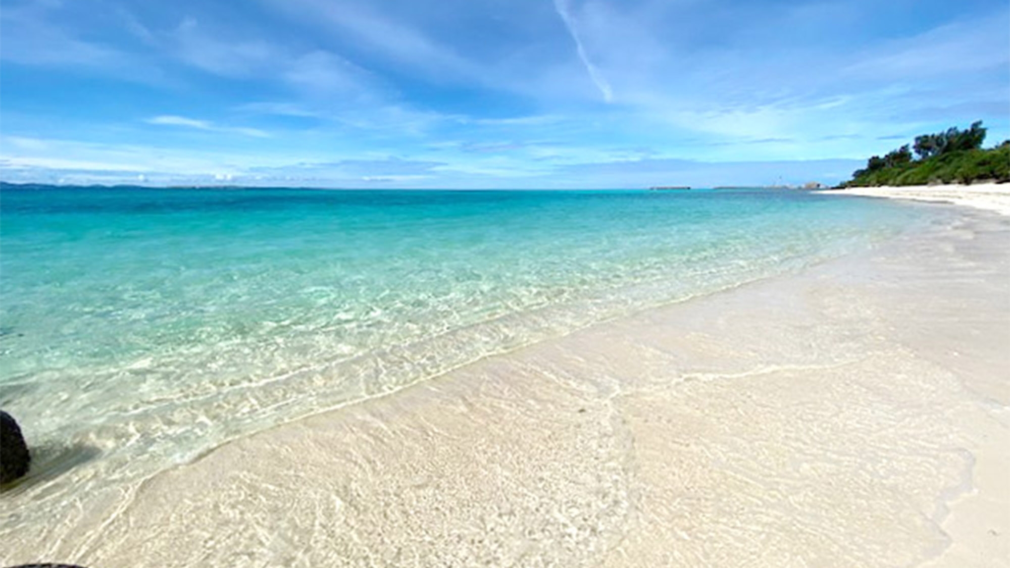 2026年に行くべき52の場所・NYタイムズで紹介！リリーフィールド公園のゆり園をのんびり【素泊り】