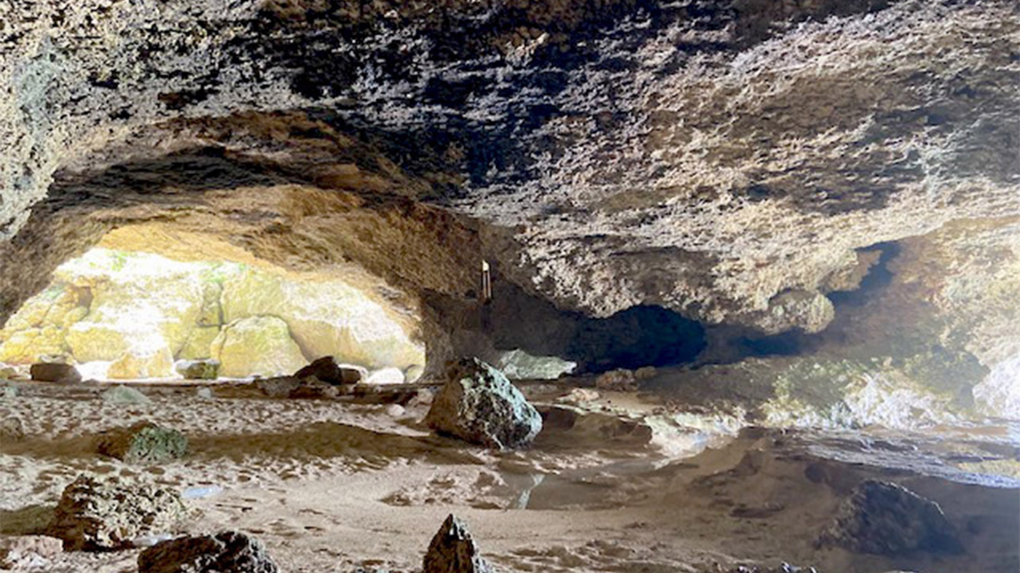 2026年に行くべき52の場所・NYタイムズで紹介！リリーフィールド公園のゆり園をのんびり【素泊り】