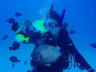 2026年に行くべき52の場所・NYタイムズで紹介！リリーフィールド公園のゆり園をのんびり【素泊り】