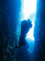 伊江島ﾀﾞｲﾌﾞ