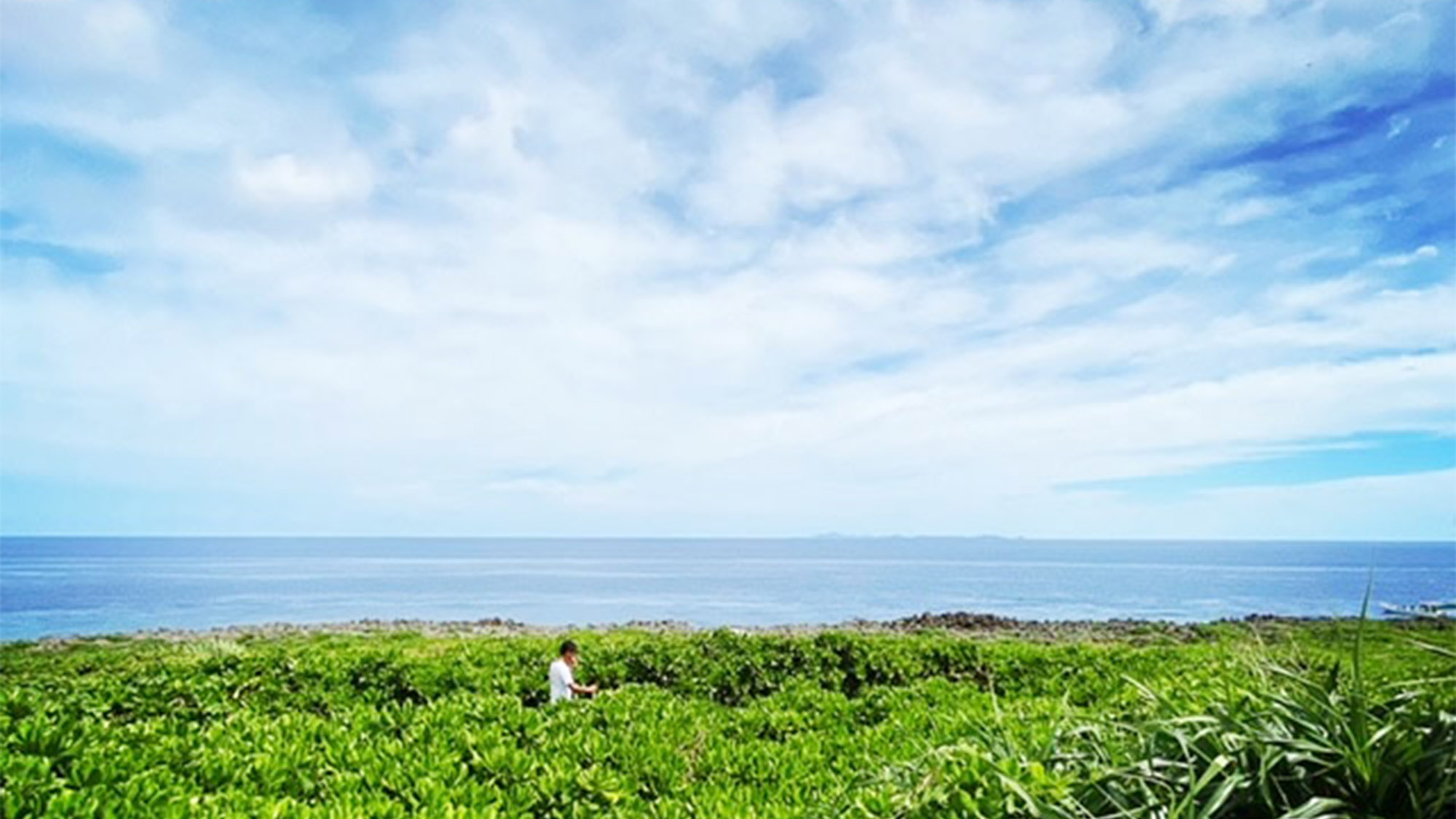 ・伊江島風景①