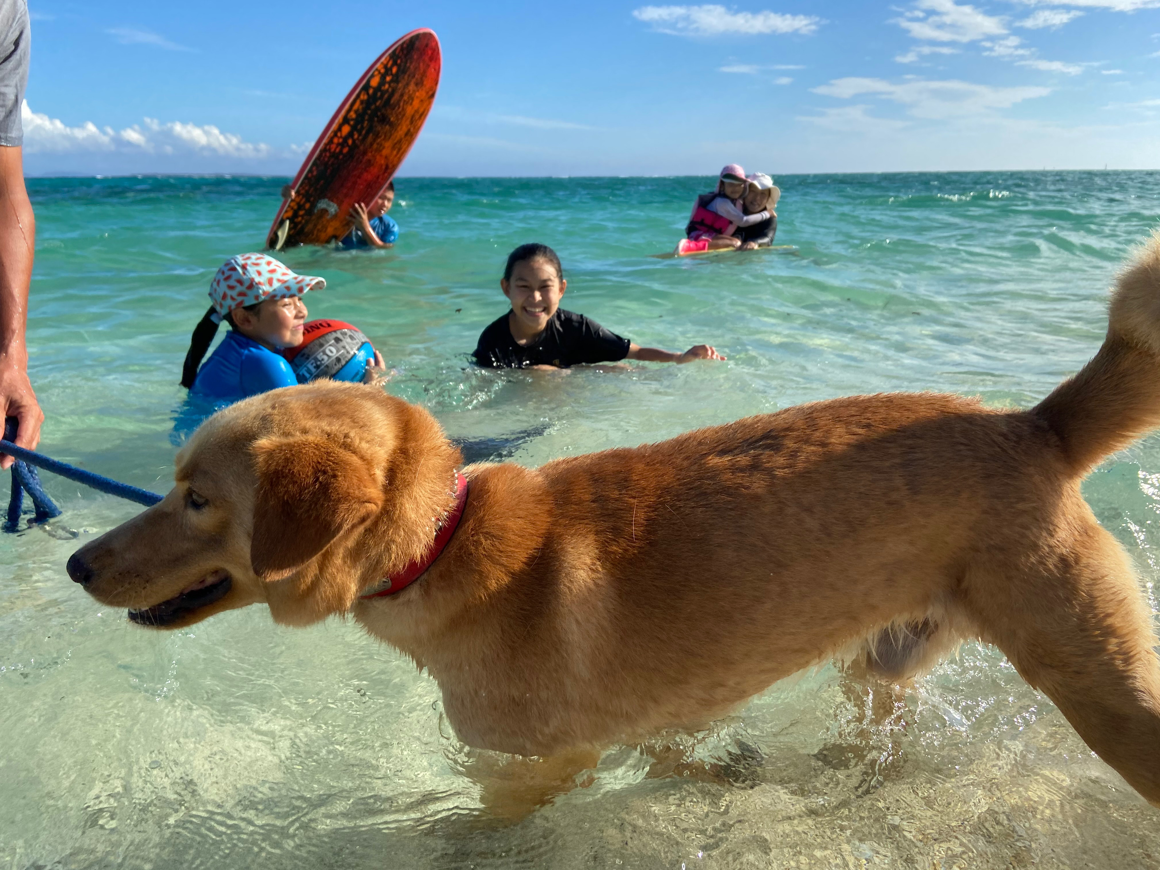 ホテルより徒歩１分！で、行けちゃうビーチ！
