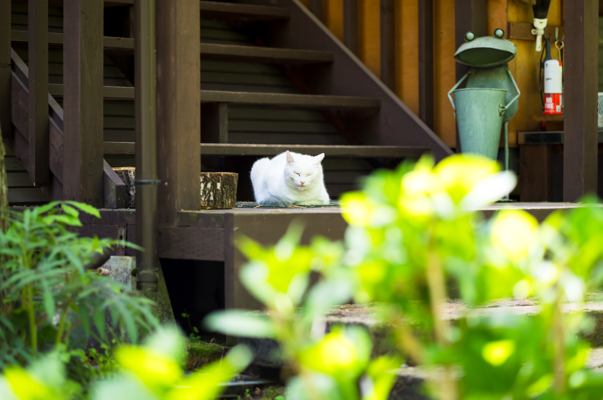 写真4