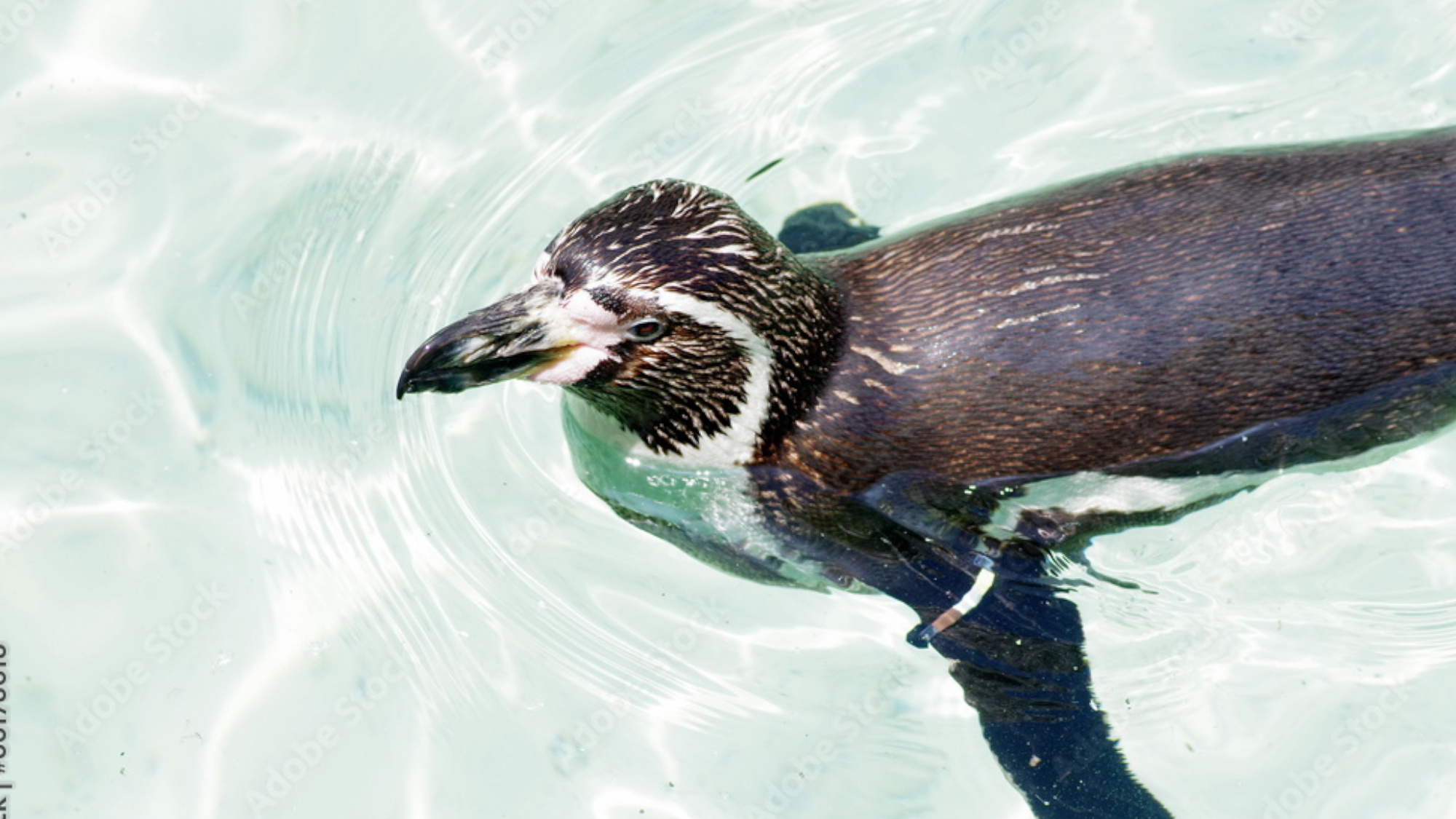 新潟市水族館 マリンピア日本海