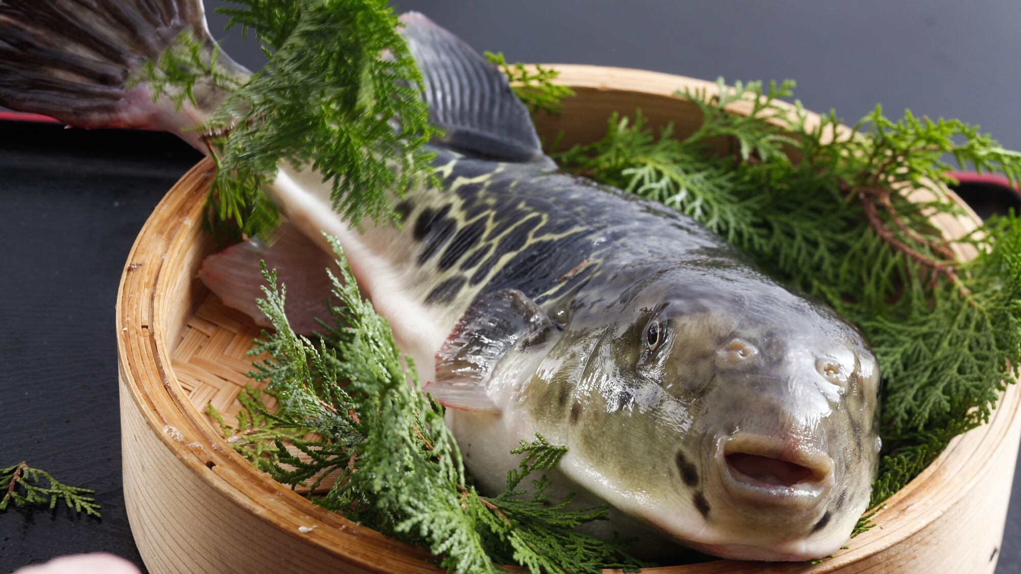 【冬】＜お部屋食＞繊細なふぐ料理で心も体も温まる〜ぷりぷりてっさとふぐ鍋、揚げ物まで満喫するふぐ会席