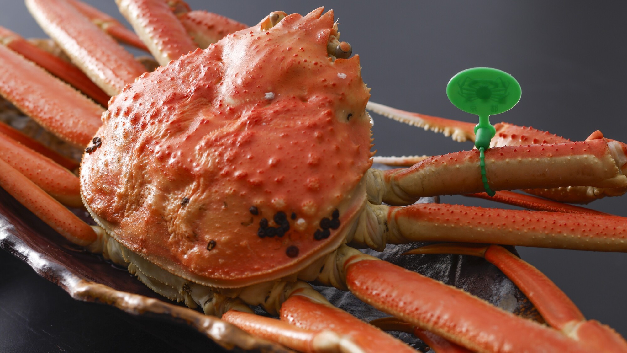 【冬】＜お部屋食＞極上蟹！800g超の活蟹＆茹で蟹を味わう！心を満たす匠（たくみ）フルコース