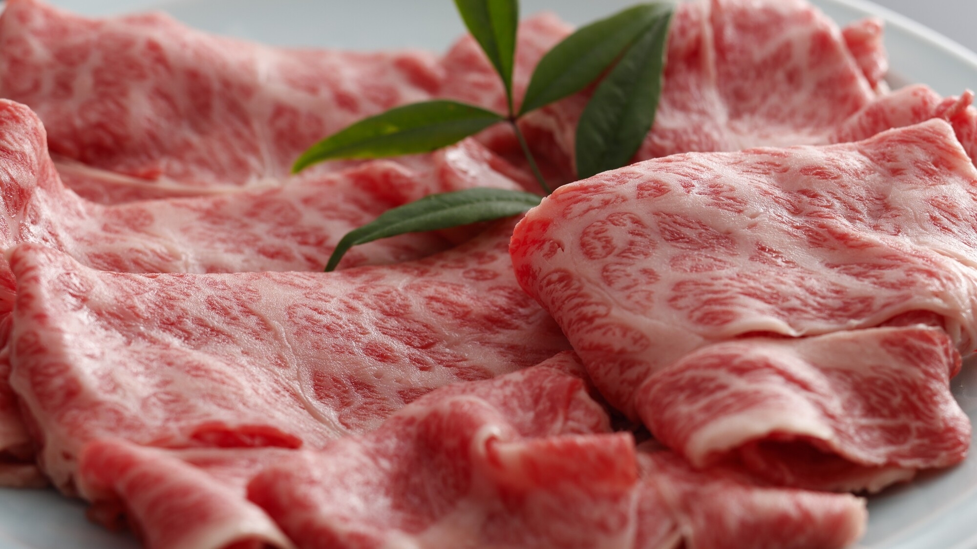 【期間限定】＜お部屋食＞肉匠が厳選する良質の素材を堪能！肉好きさん集まれ！和牛会席プラン