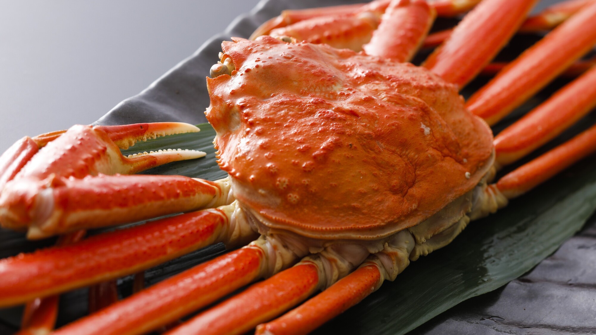 【冬】＜お部屋食＞炭火でじっくり香ばしく味わう！お一人1.5杯使用！焼きガニフルコース