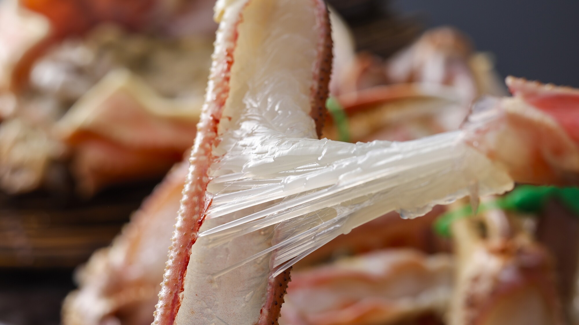 【期間限定】2025解禁記念！お一人5000円引き！800g超え活蟹を味わう和（なごみ）フルコース