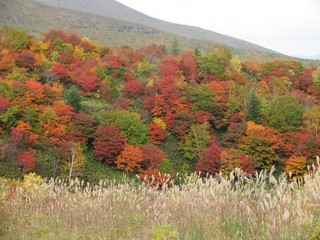 八幡平の紅葉