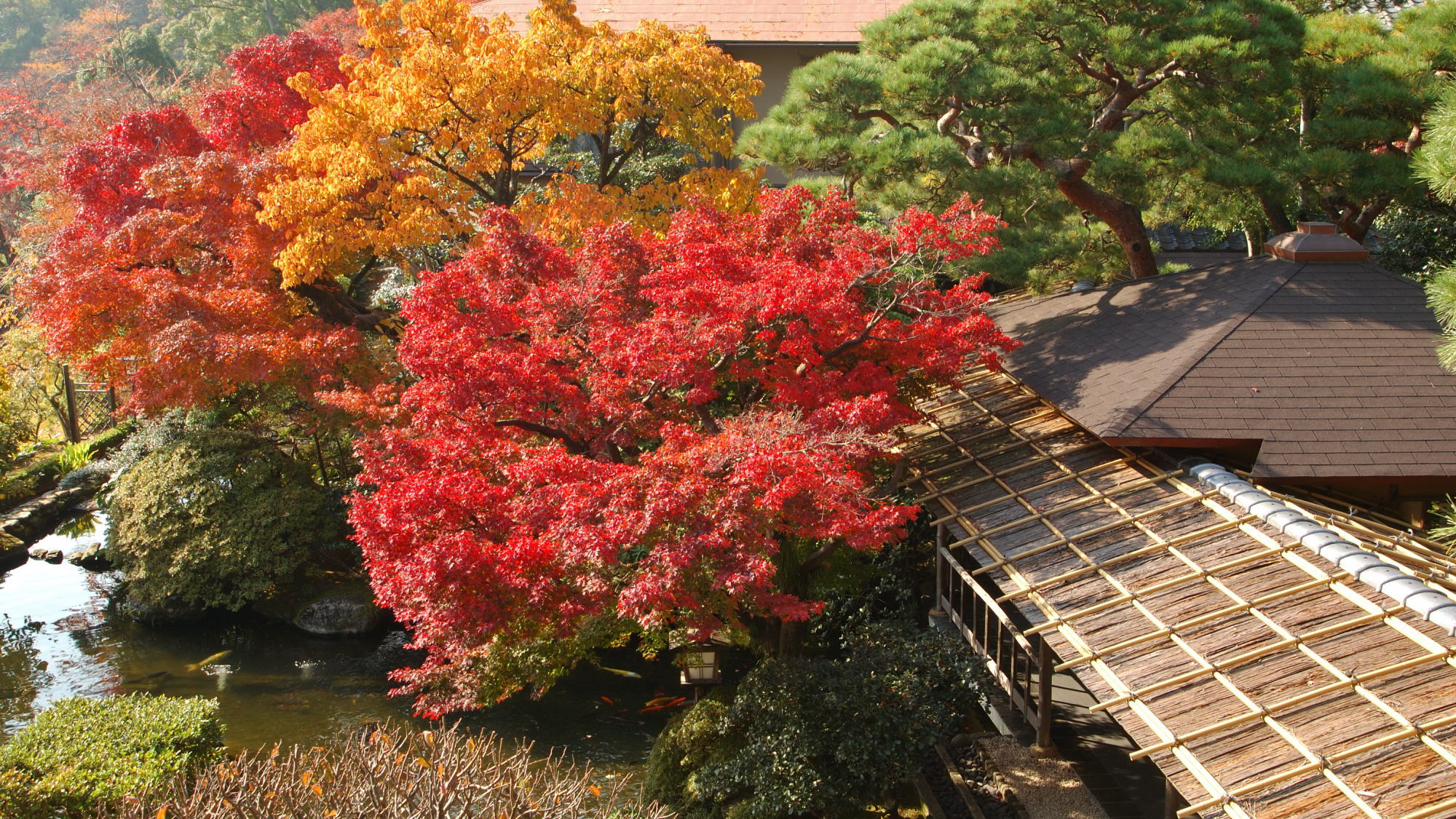 【庭園の風景】