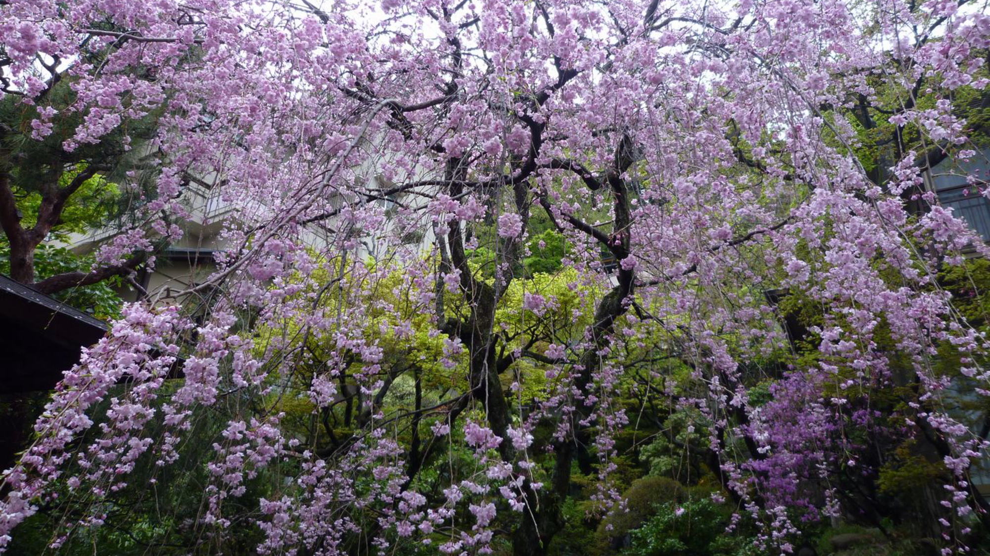 【庭園の風景】